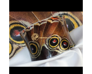 Bratara Aripi obosite Regina