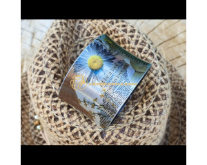 Bratara Vremea de vara