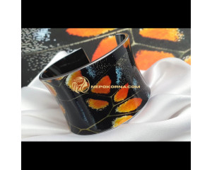 Set complet Aripi obositoare 2